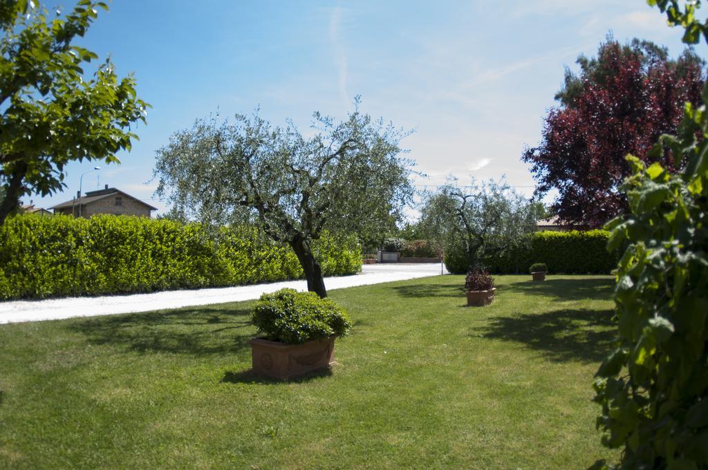 Rosa Di Assisi Bed & Breakfast Bastia Umbra Eksteriør bilde